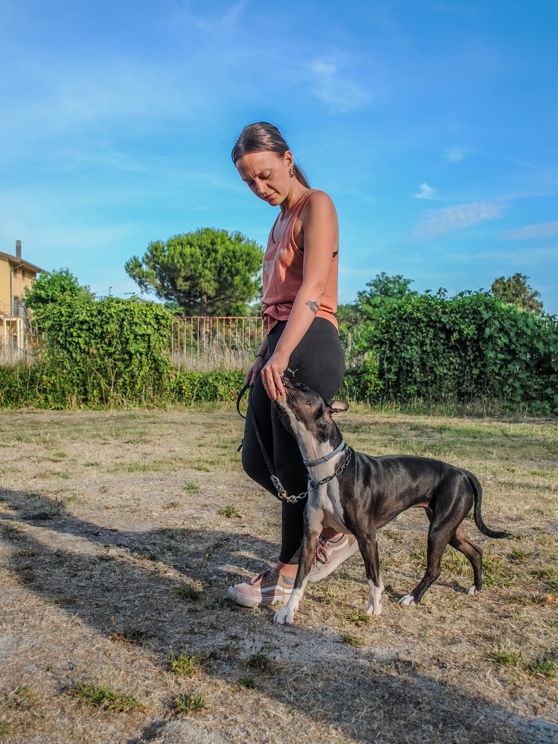 addestramento del cane alla condotta col padrone