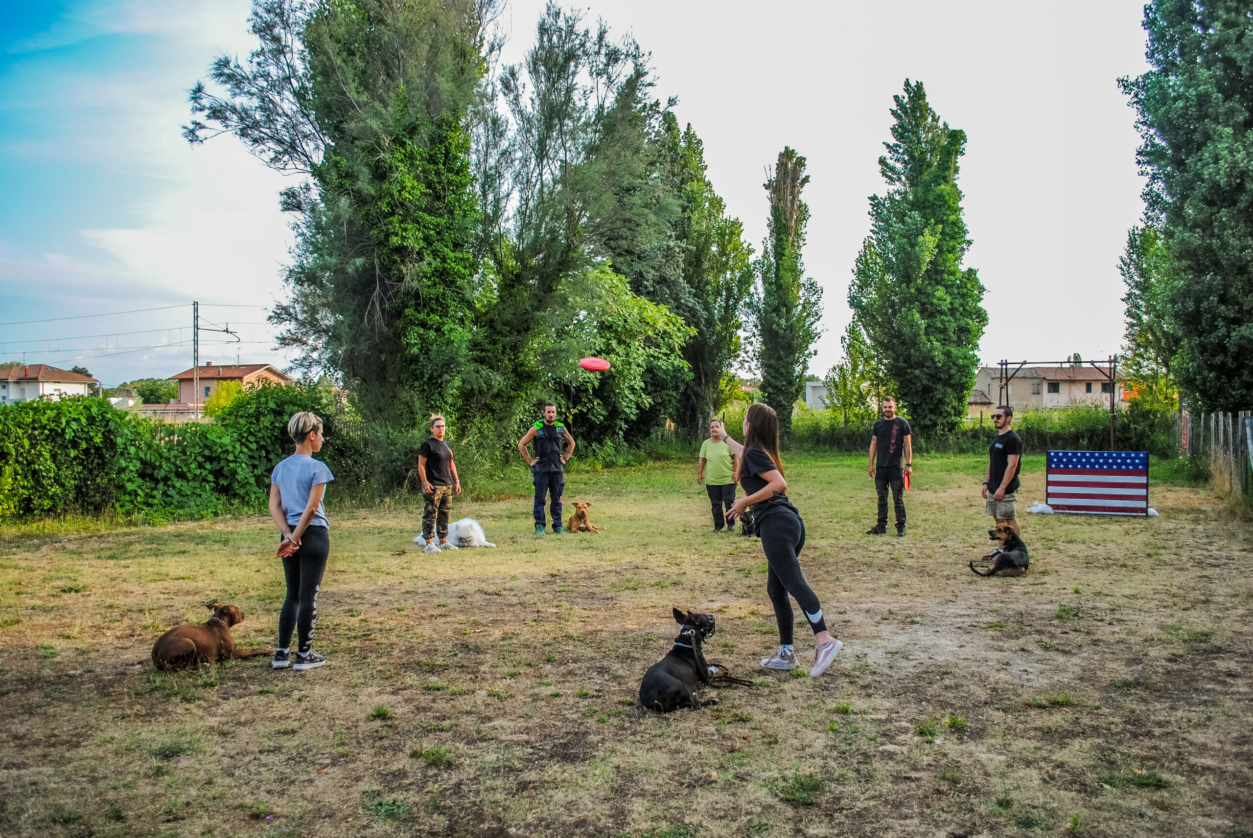 gestione comportamentale dei cani di gruppo