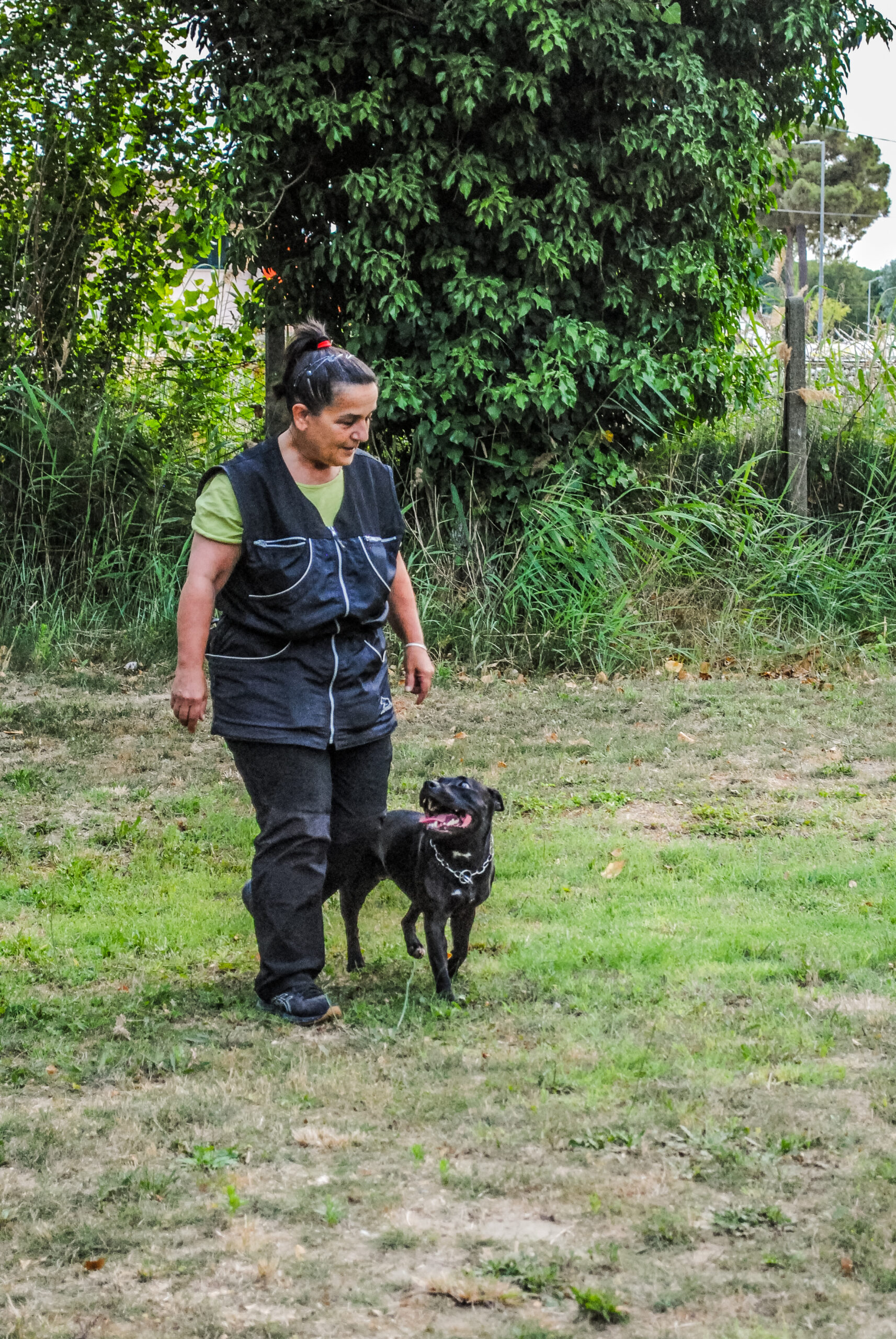 cane addestrato e il suo padrone