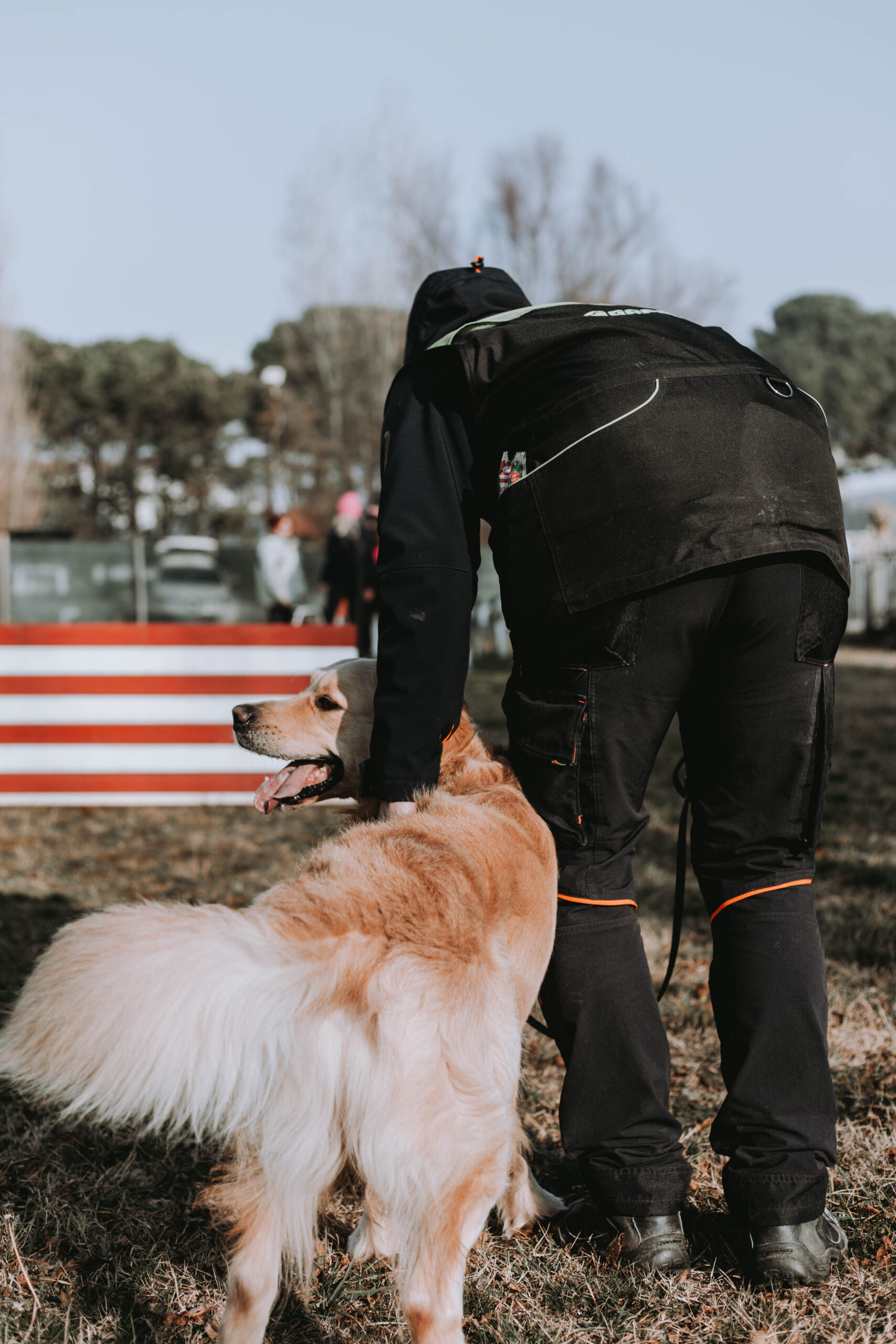 Cane e il suo padrone